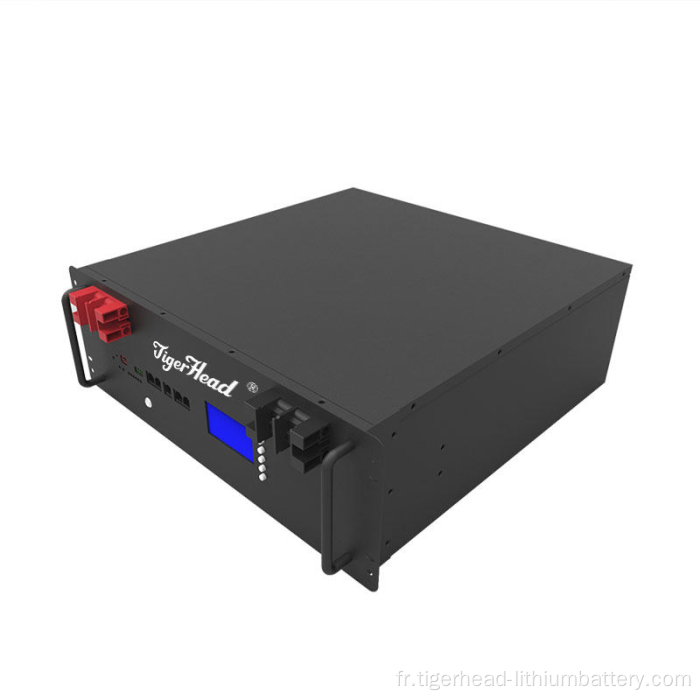 Paquet de batterie LiFePO4 monté en rack 5,12 kWh 51,2 V 100 Ah